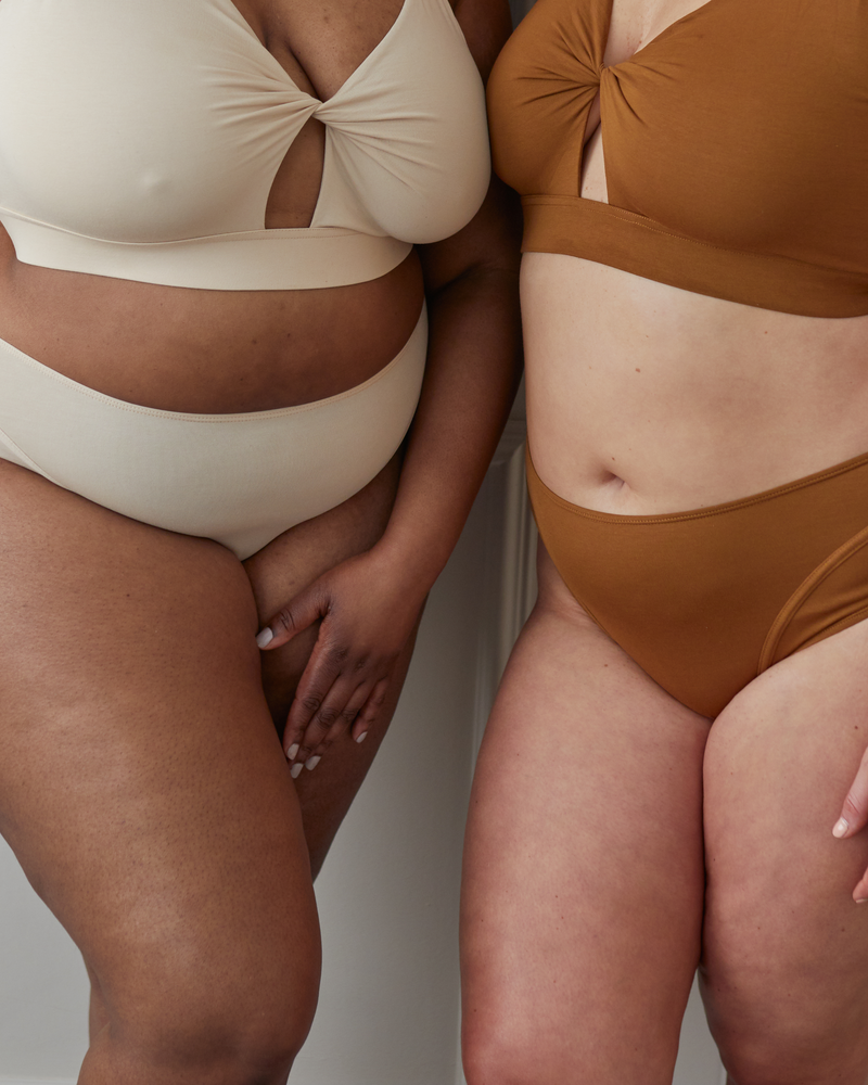 Maya High-waisted Panelled Knickers